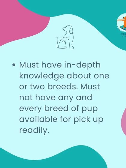 Furry Story - Pet Sitter & Home Boarder Training Resources for Pet Parents & Sitters photo 3