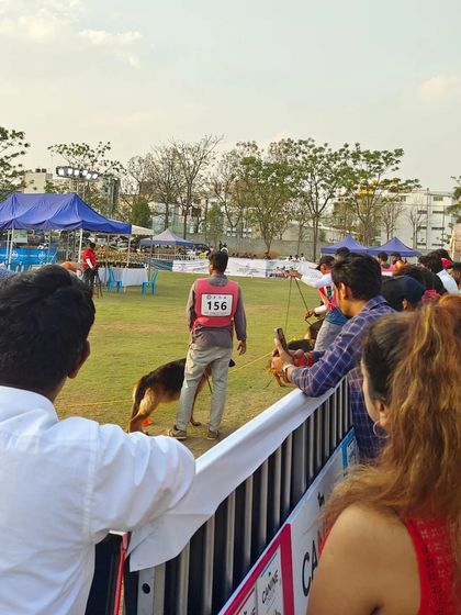 Fuzzy Wuzzy - Pet Grooming Academy & Workshops Workshops & Industry Events photo 24