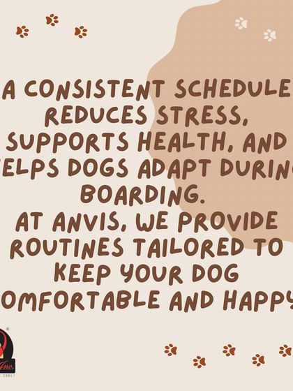 Anvis - Dog Boarding Personalized & Special Care photo 6