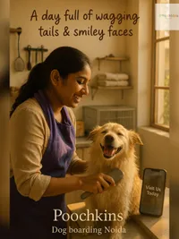 Dog Grooming
