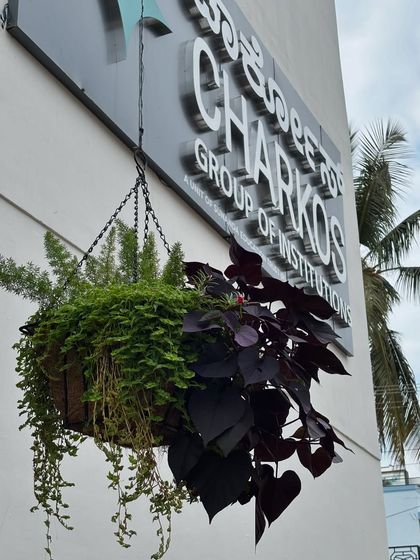 Greening Commercial Spaces photo 37