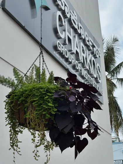 A hanging basket at the CHARKOS institution, captured during a routine check-up. We ensure even the smallest elements of our designs, like these baskets, are thriving.