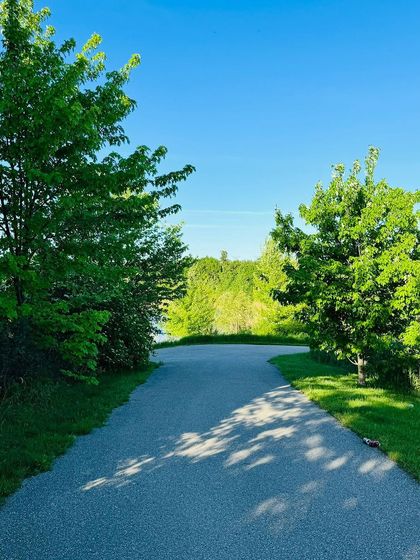 A bright, clear path on a sunny day. This image captures a feeling of limitless potential, reflecting the powerful and nurturing energy of Mother Nature.