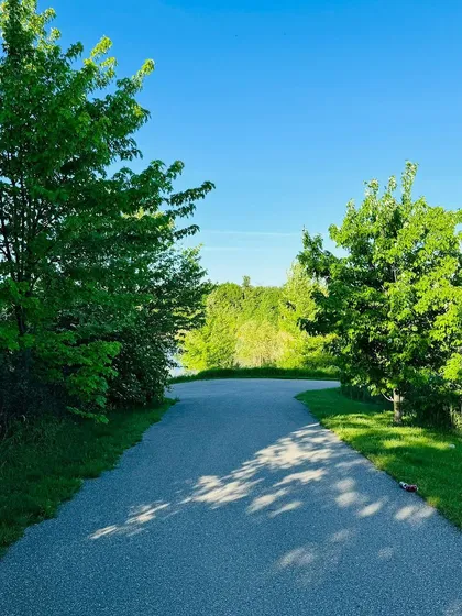 A beautiful, sunny path surrounded by vibrant green trees. A reminder that today is going to be limitless, just like the power that Mother Nature carries.
