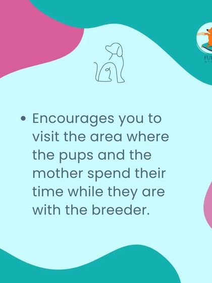 Furry Story - Dog Training & Behavior Consultation Adoption & Responsible Ownership photo 5