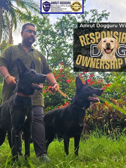 Dog Guru - Dog Board & Train Program Life at the School: Health, Socialization & Care photo 19