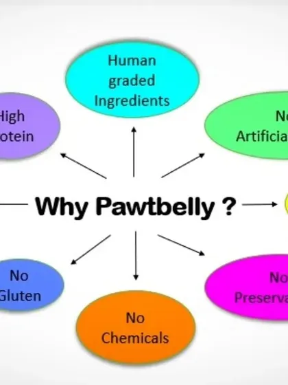 Here’s the simple breakdown of why our food works. We focus on high-protein, human-grade ingredients and say no to all the junk: no fillers, no gluten, no artificial flavors, and absolutely zero preservatives.