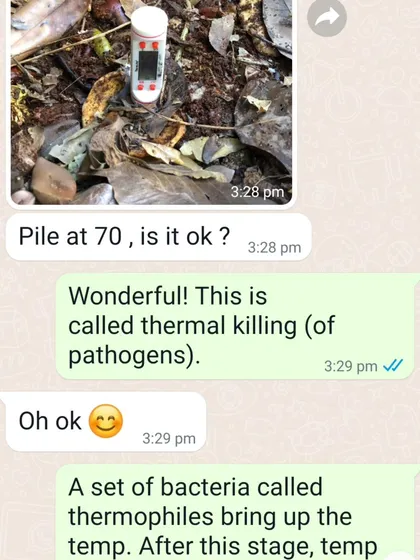 A customer from our Chennai community project shared this amazing update. The pile temperature in their Eira composter reached 70 degrees Celsius without any electricity. This is called 'thermal killing', a natural process where heat destroys pathogens.