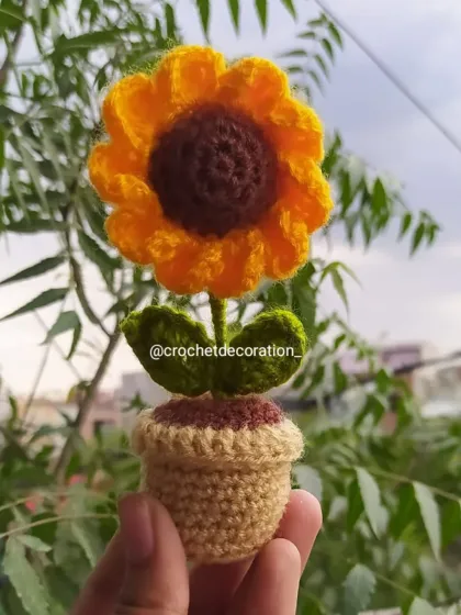 Holding a freshly made mini sunflower pot, ready to be shipped to its new home.