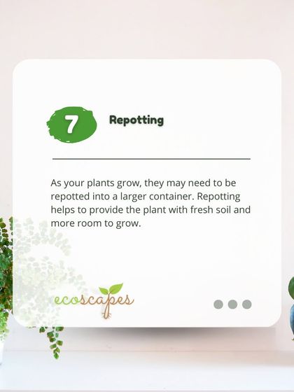 Ecoscapes Landscaping - Urban Gardening & Green Walls Urban Gardening Guides photo 34