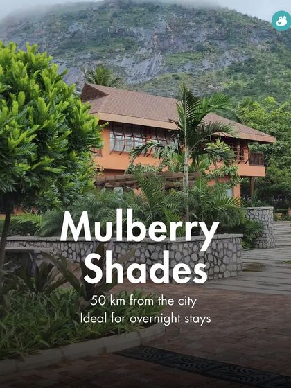 The Pack - Pet-Friendly Adventures & Meetups Pet-Parent Resources: Guides & Tips photo 21