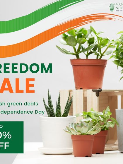 Celebrate with our Freedom Sale. This is a great opportunity to unleash some green deals and add new plants to your home or gift them to loved ones.