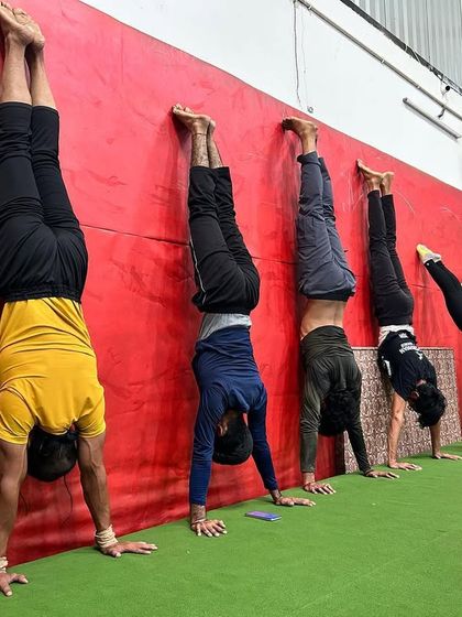 A group of adult students practices wall-assisted handstands. This is a key progression for building the endurance and balance required for a freestanding handstand.