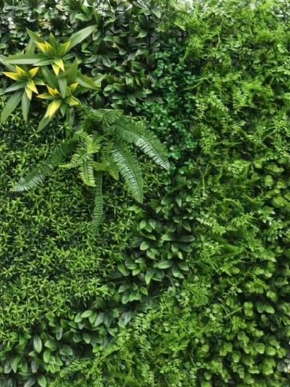 A close-up showing the different textures in a green wall panel. I combine fine-leafed plants with larger ferns to create a layered, realistic effect.