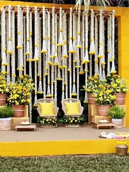 A beautiful Haldi seating stage for the couple. The backdrop is made of white floral strings (rajnigandha) and marigolds, with wicker chairs and sunflower pots adding a rustic charm.