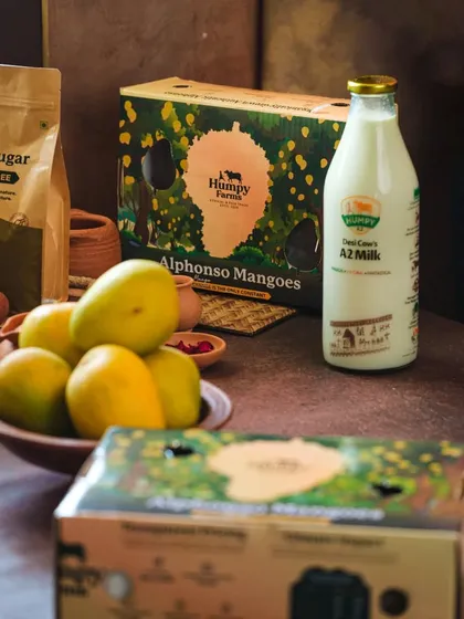 This shot shows the final branded product, Alphonso Mangoes from Humpy Farms, alongside fresh milk and mangoes, ready to be turned into a delicious treat.