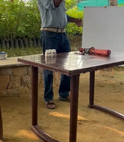 Our expert explains the process of seed collection and storage, a critical part of maintaining a diverse and resilient native plant nursery.