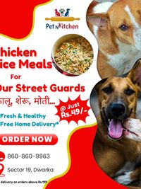 Subsidized Meals for Street Dogs