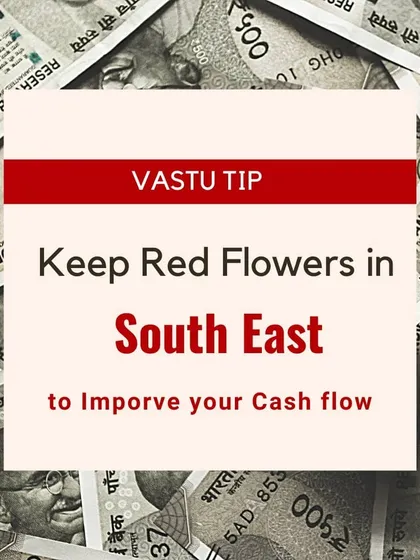 A simple and effective Vastu remedy to enhance your financial prosperity. Placing fresh red flowers in the South-East direction of your home or office can help activate the energy of cash flow and attract new opportunities for wealth.
