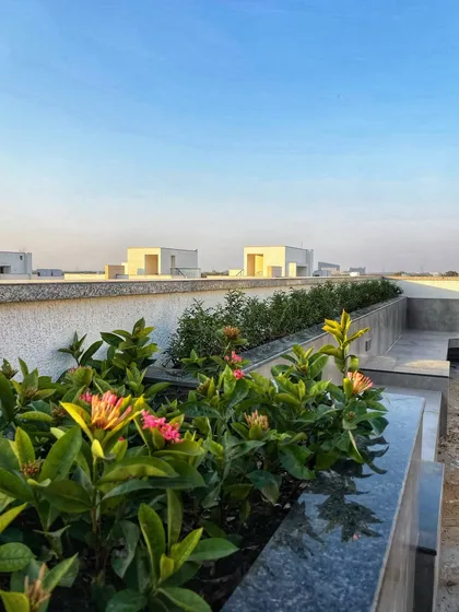 A view of a terrace makeover, with flowering Ixora plants in a built-in planter bed, overlooking the lawn.
