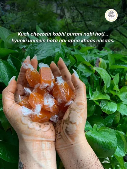 Some things never get old, like the taste of home. Our individually wrapped Orange Aam Papad pieces held in henna-adorned hands capture the feeling of tradition and a mother's love that we share with you.
