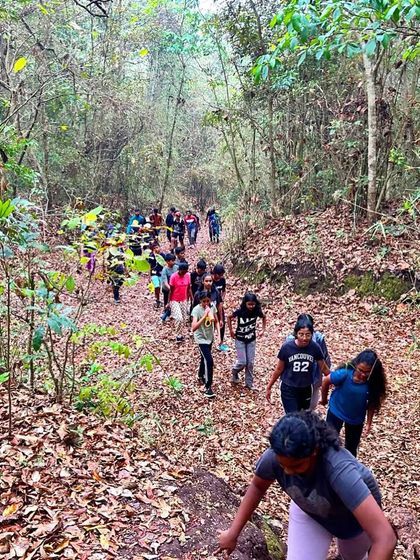A group of campers hikes through a dense forest trail in Dandeli, learning about the local ecosystem along the way.