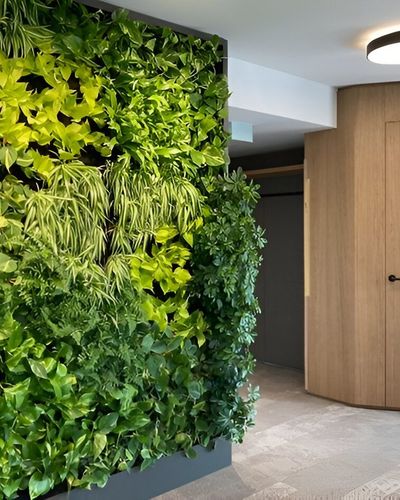 Vertical Gardens