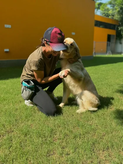 A sweet moment with a Golden Retriever. Training and working with dogs is always worth it.