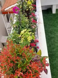 Garden Design and Installation