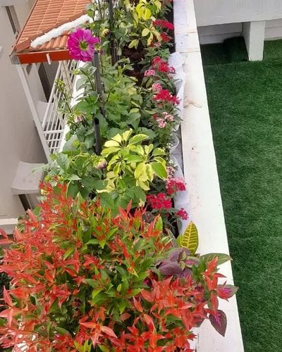 Garden Design and Installation