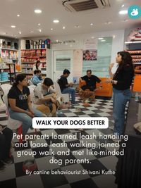 Pet Parent Education & Workshops