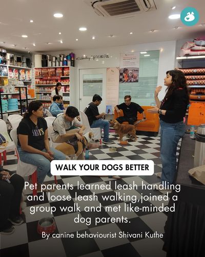 Pet Parent Education & Workshops