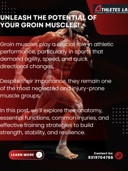 The groin muscles are crucial for agility and speed, yet they are one of the most neglected and injury-prone muscle groups. This series explores their anatomy, function, and how to build strength and resilience.