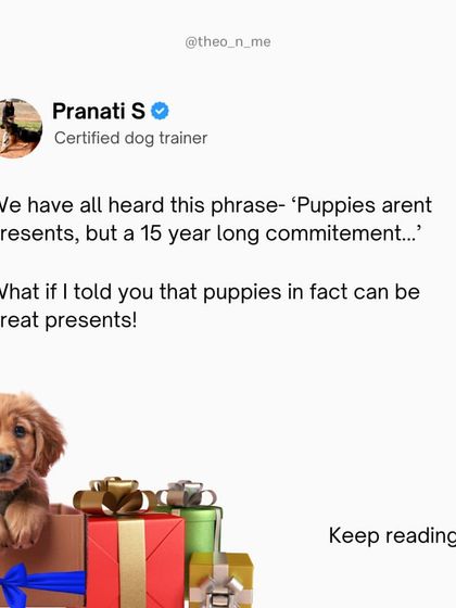 Gifting a puppy can be a wonderful thing, but it's a 15-year commitment, not a sweater. I created this checklist to help people make a responsible, informed decision that sets both the new puppy and their parent up for success.