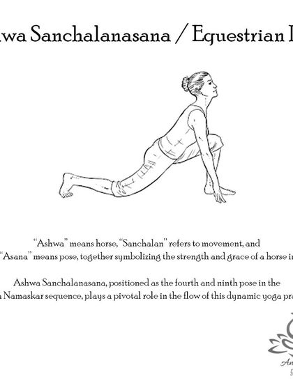 Anagha Yoga - Therapeutic Yoga Yoga Foundations: Asana Library photo 17
