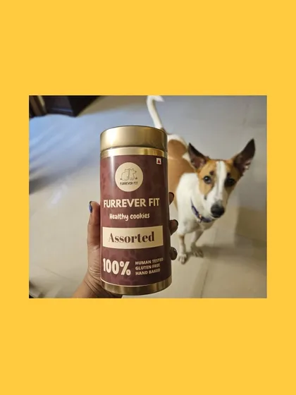 An excited pup posing with our Assorted treats tin. This image was part of a special birthday promotion, celebrating with our amazing community.