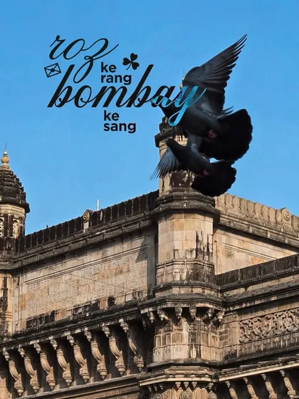 Roz ke rang, Bombay ke sang. The daily colors of Bombay. This shot, with a pigeon taking flight against the Gateway of India, captures the spirit of this city for me, a place of constant movement and timeless beauty.
