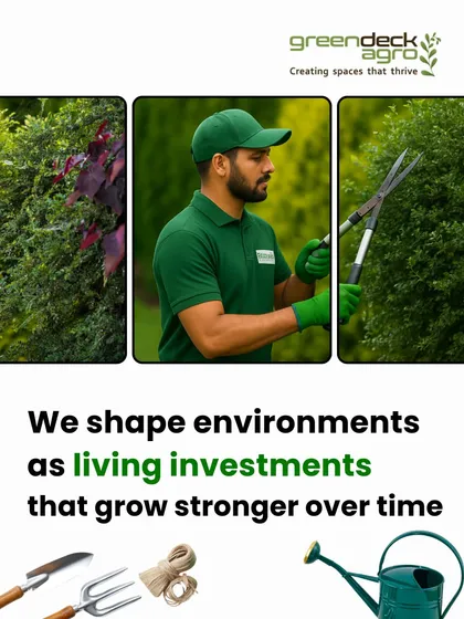 We treat your garden as a living investment. Our team uses the right tools and techniques, like trimming hedges with precision shears, to shape and maintain your green environment.