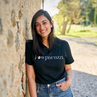 Pawparazzi By Prathima