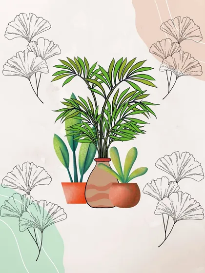 The same Boho plant illustration on a clean, white background, highlighting the fresh green and terracotta colors.