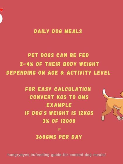 Hungry Eyes - Freshly Cooked Dog Meals Empowering Pet Parents photo 18