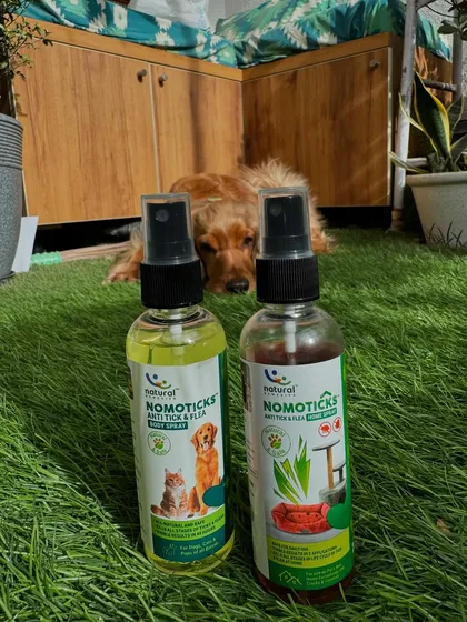 Keeping our home and pet safe with these natural, chemical-free sprays.