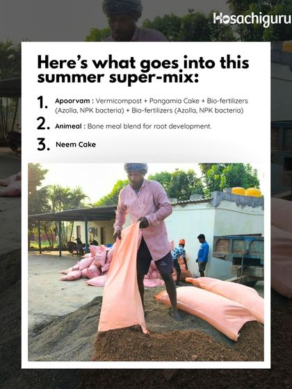 This is what goes into our summer super-mix: Apoorvam for nutrition, Animeal for root development, and Neem Cake for protection. A carefully balanced diet for our trees.