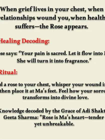 When you are wounded by grief or relationships, the Rose appears. I explain a simple ritual of whispering your pain into a rose and placing it at Ma's feet to transform sorrow into divine love.