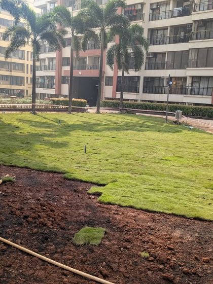 Large-Scale Lawn Installation photo 16