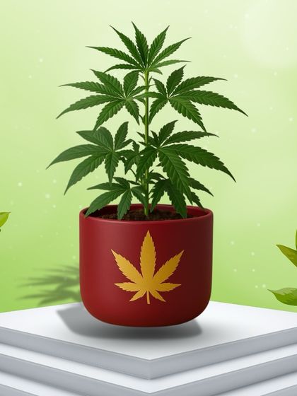 Handcrafted Terracotta Pots photo 3