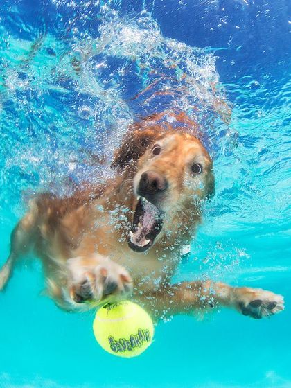 Creative Concepts: Underwater Adventures photo 10