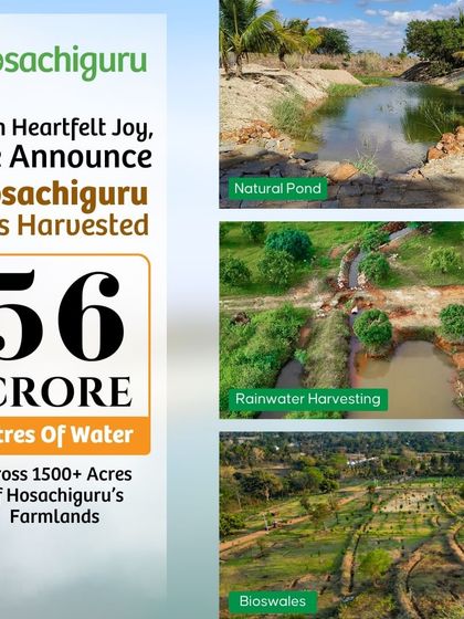 We are thrilled to announce we have harvested 56 crore litres of water across our farmlands. Through natural ponds, bioswales, and rainwater harvesting, we are securing our most precious resource for generations to come.