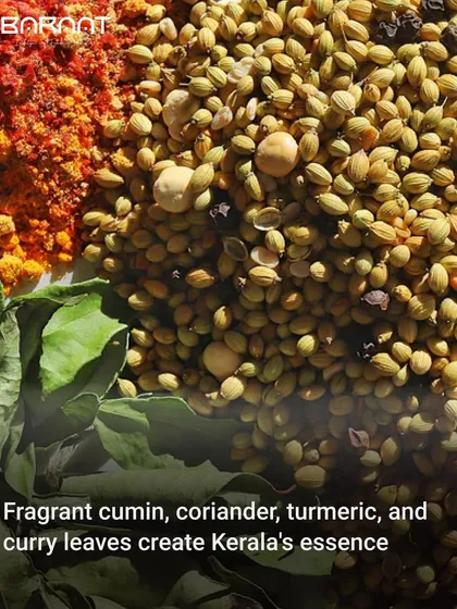 Fragrant cumin, coriander, turmeric, and curry leaves come together to create the essence of Kerala in my dishes.