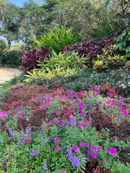 A closer look at the layered planting in a seasonal flower bed. By combining plants with different colors, heights, and textures, like these purple and pink flowers against a backdrop of red and green foliage, I create a garden that is always full of life.